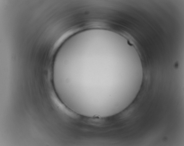 X0000113931147200910161844