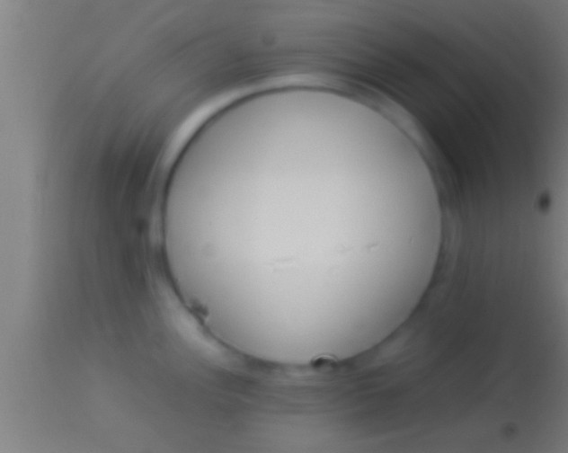 X0000113931148200910161844