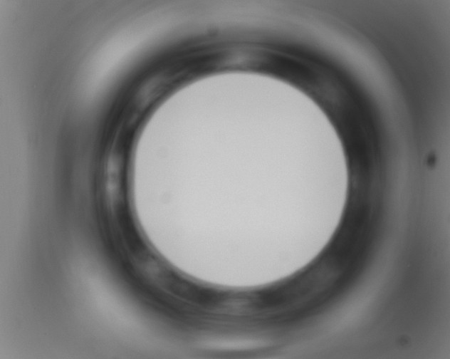 X0000113931150200910161844