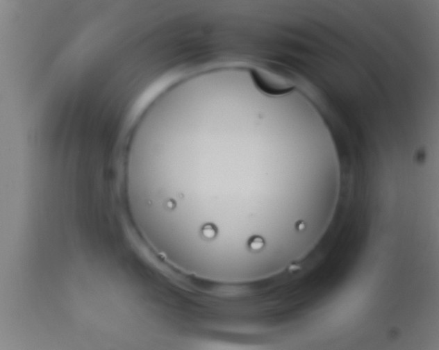 X0000113931151200910161844