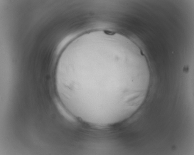 X0000113931152200910161844