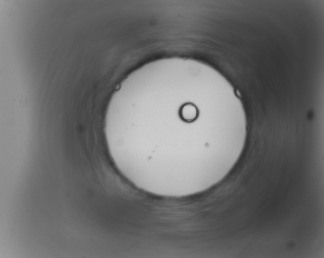 X0000113931153200910161844