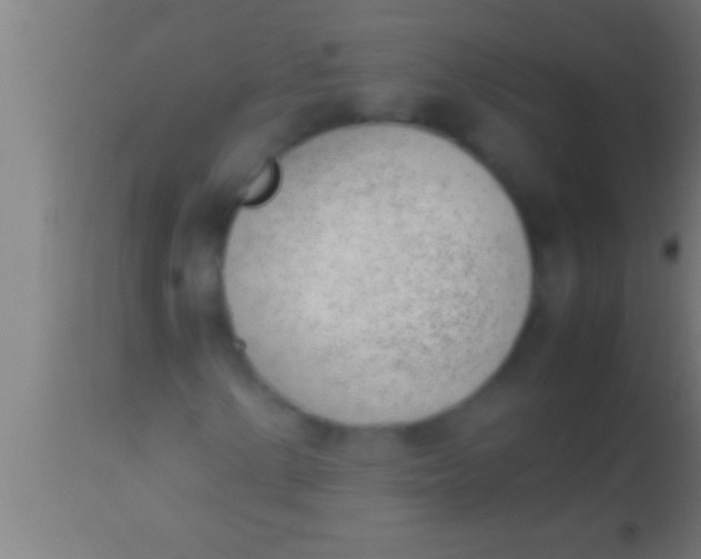 X0000113931154200910161844