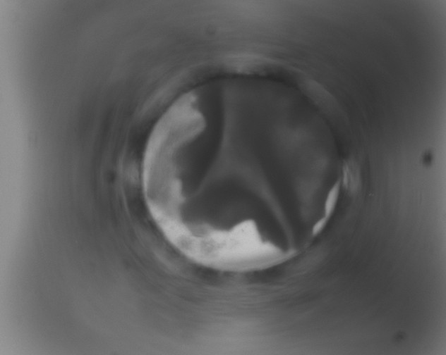 X0000113931155200910161844