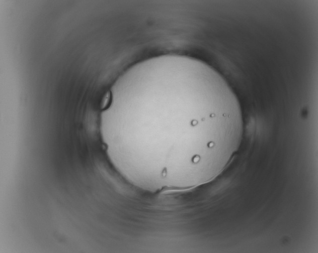 X0000113931156200910161844