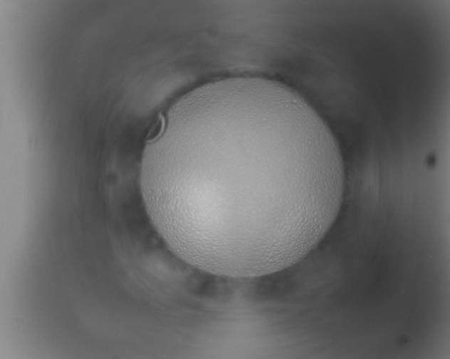 X0000113931157200910161844