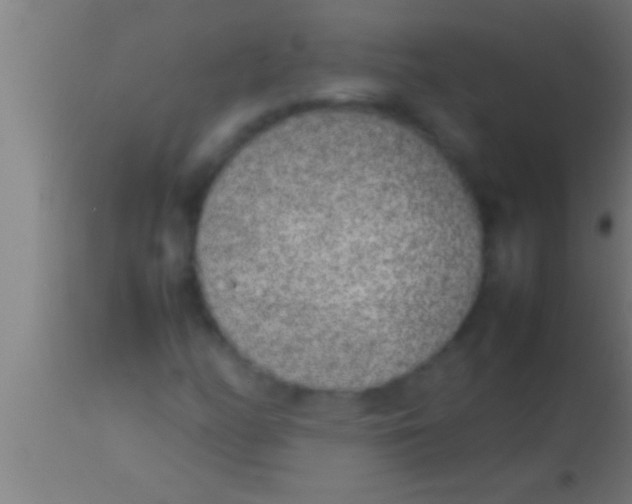 X0000113931158200910161844