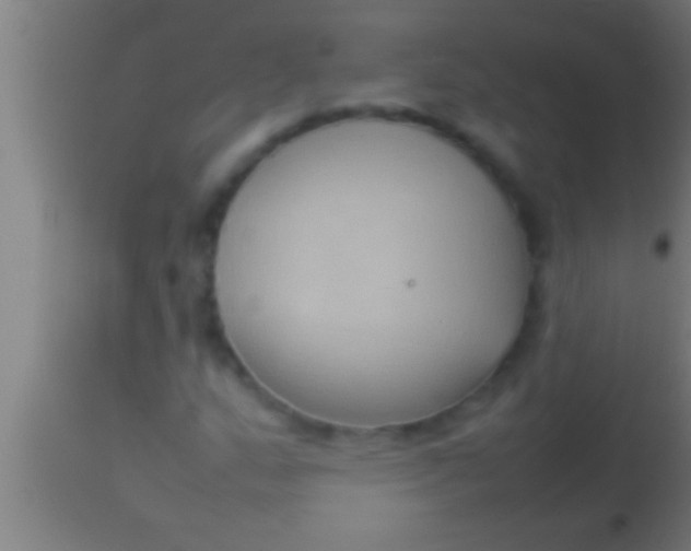 X0000113931159200910161844