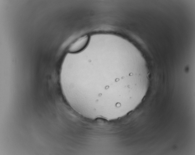 X0000113931160200910161844