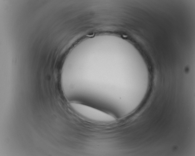 X0000113931161200910161844