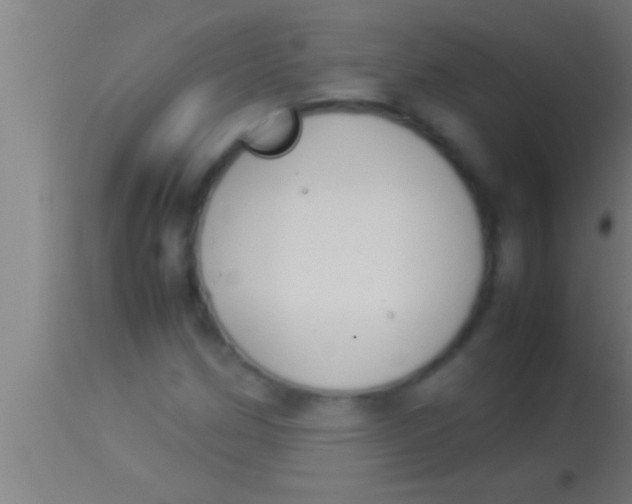 X0000113931162200910161843