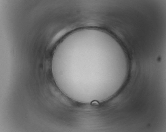 X0000113931163200910161843