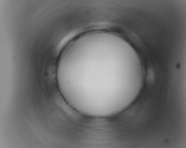 X0000113931164200910161843