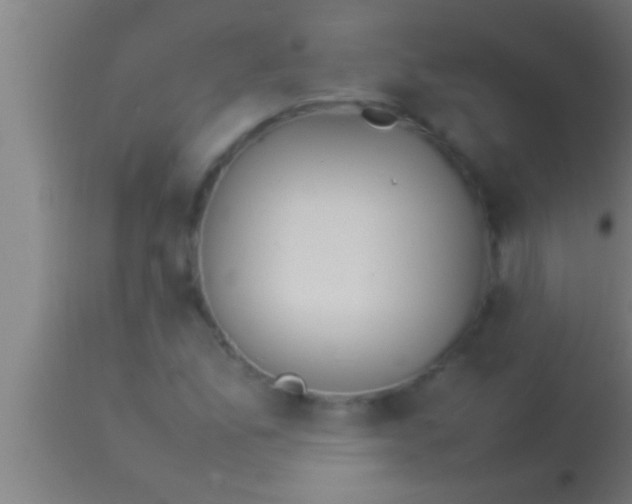 X0000113931165200910161843