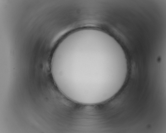 X0000113931166200910161843