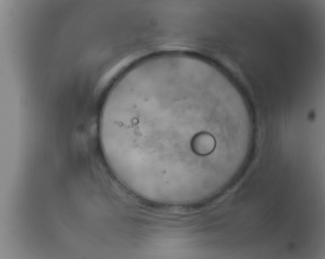 X0000113931167200910161843