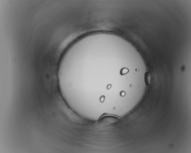 X0000113931168200910161843