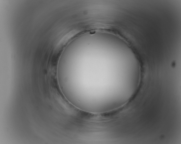 X0000113931169200910161843