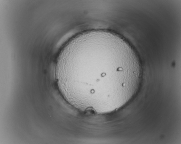 X0000113931171200910161843