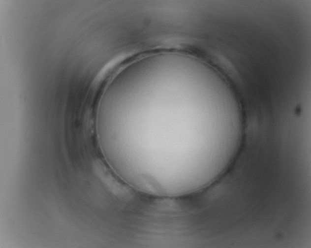 X0000113931172200910161843