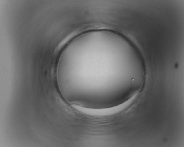 X0000113931173200910161843