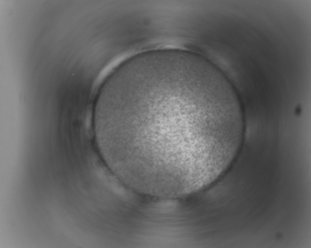 X0000113931174200910161843