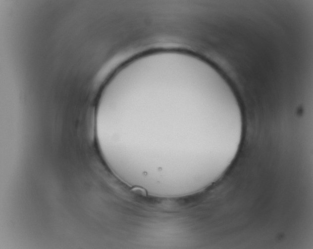 X0000113931175200910161843