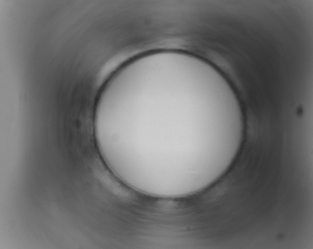 X0000113931176200910161843