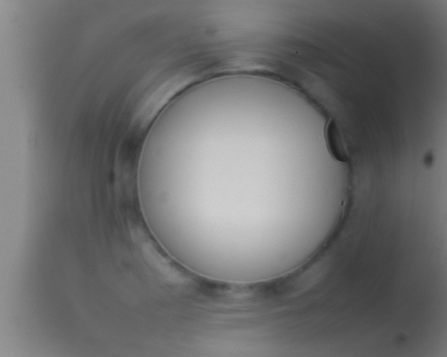 X0000113931177200910161843