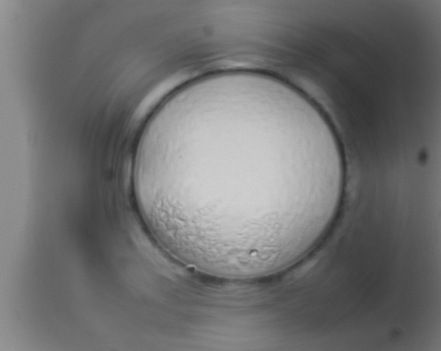 X0000113931179200910161843