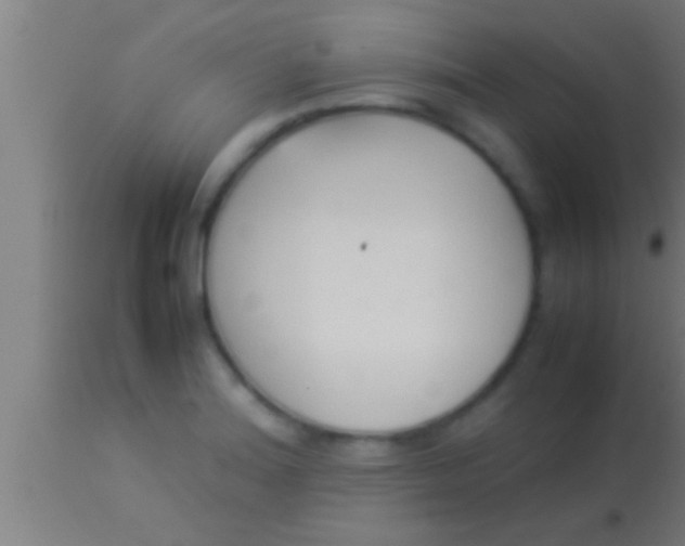 X0000113931180200910161843