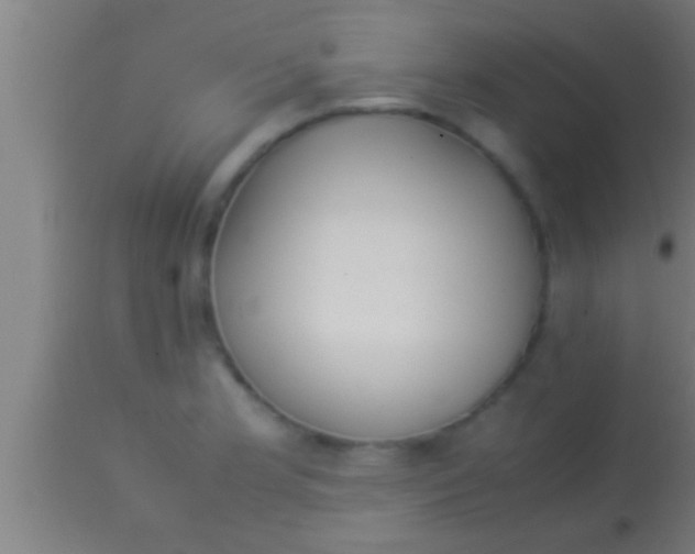 X0000113931181200910161843