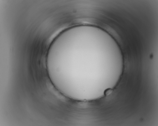 X0000113931182200910161843