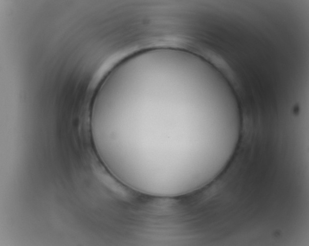 X0000113931184200910161843