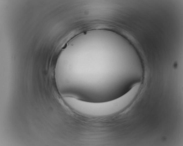 X0000113931185200910161843