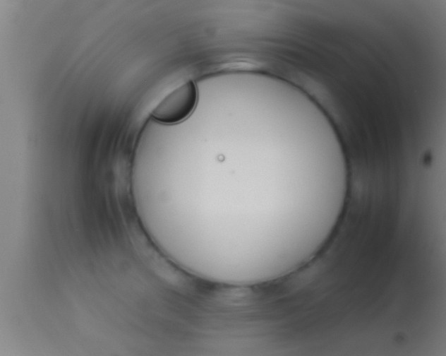 X0000113931186200910161843