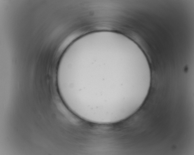 X0000113931187200910161843