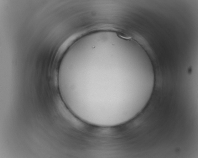 X0000113931188200910161843