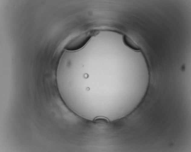 X0000113931189200910161843