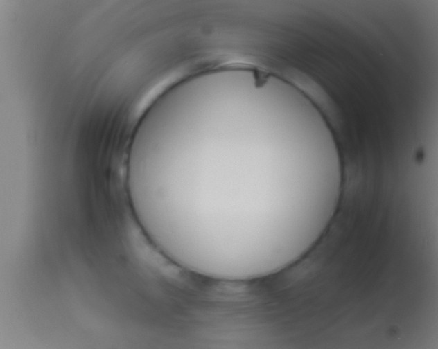 X0000113931190200910161843