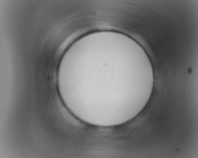 X0000113931191200910161843