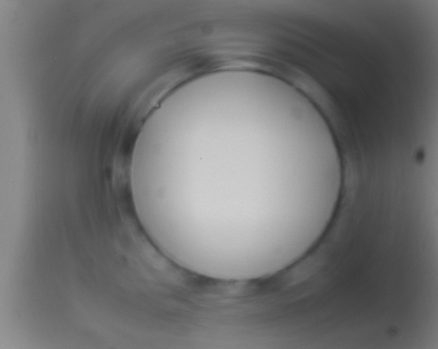 X0000113931193200910161843