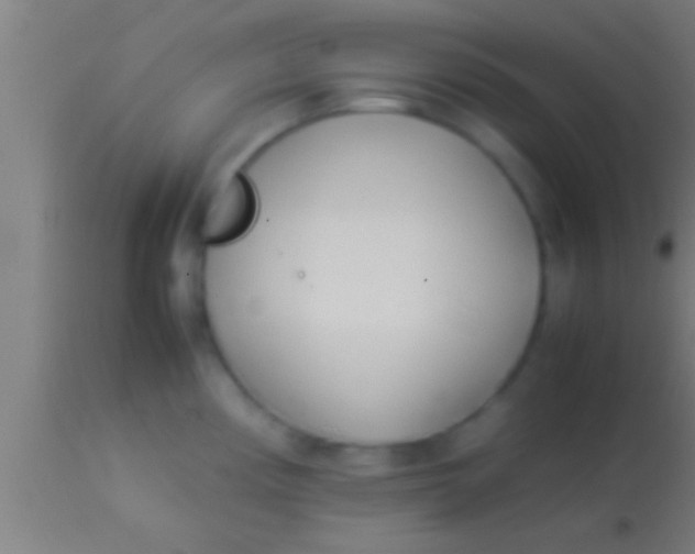 X0000113931194200910161843