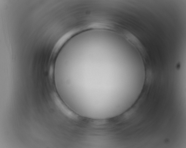 X0000113931196200910161843