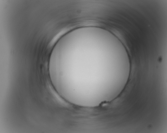 X0000113931197200910161843