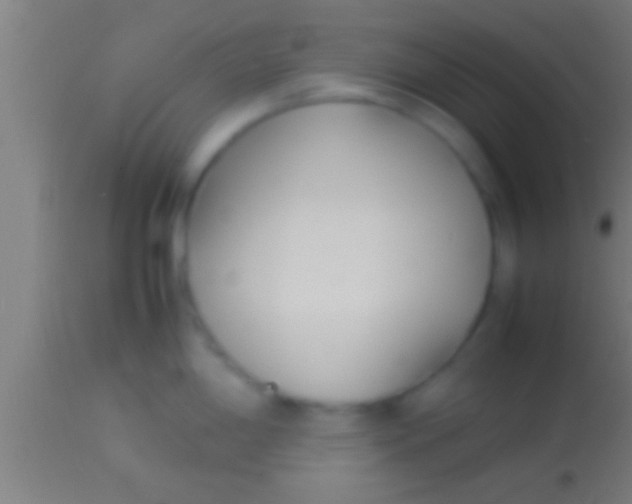 X0000113931198200910161843