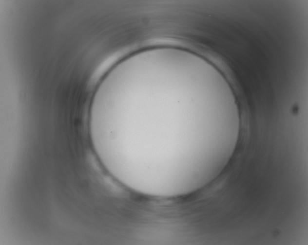 X0000113931199200910161843