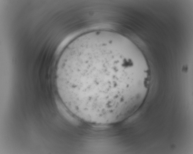 X0000113931200200910161843