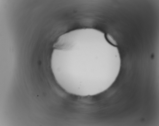 X0000113931201200910161842