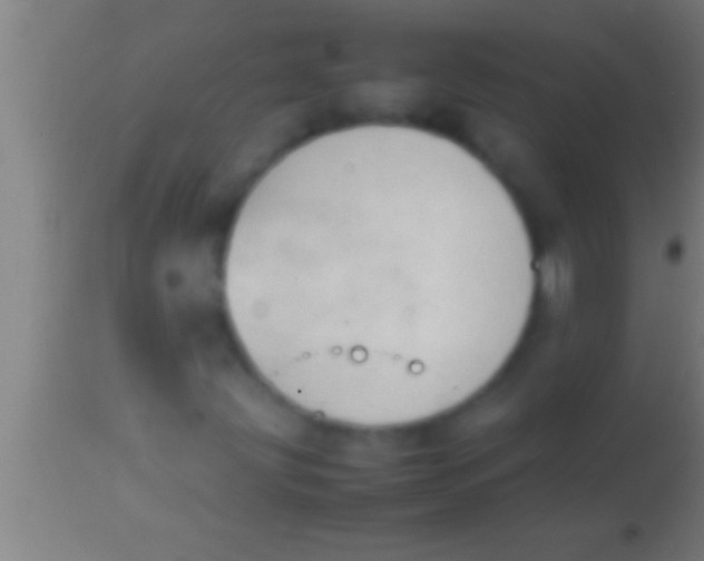 X0000113931203200910161842